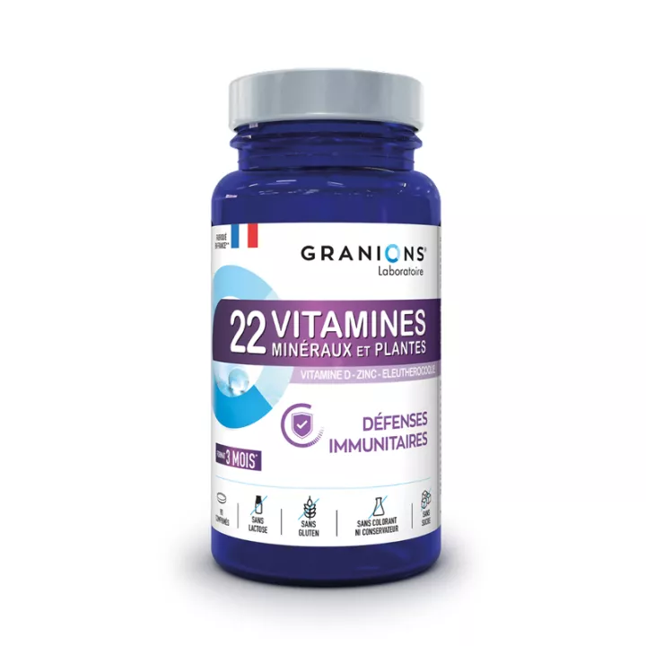 Granions 22 Vitamines Défenses Immunitaires 90 Comprimés