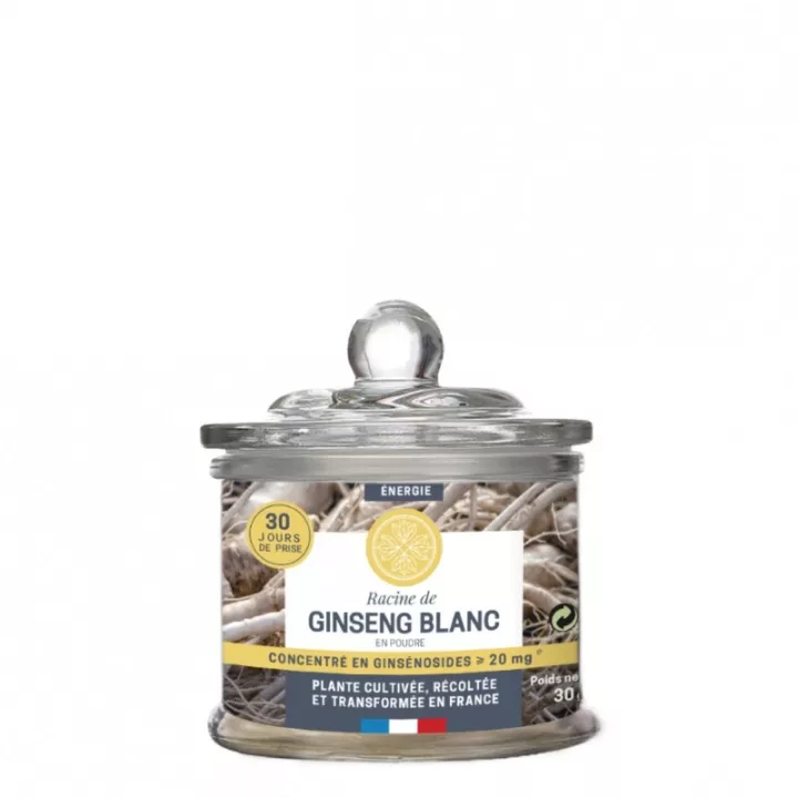 Jardins d'Occitanie White Ginseng cultivado en Francia