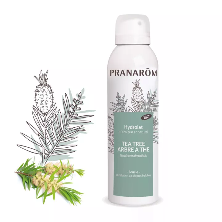 Pranarom Hydrolat Teebaum Bio 150ml