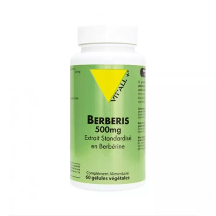 Vitall+ Berbéris 500mg Extrait Standardisé en Berberine 60 gélules végétales