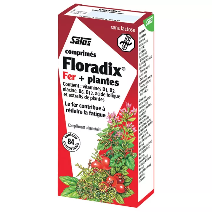 Salus Floradix Fer + Plantes 84 comprimés