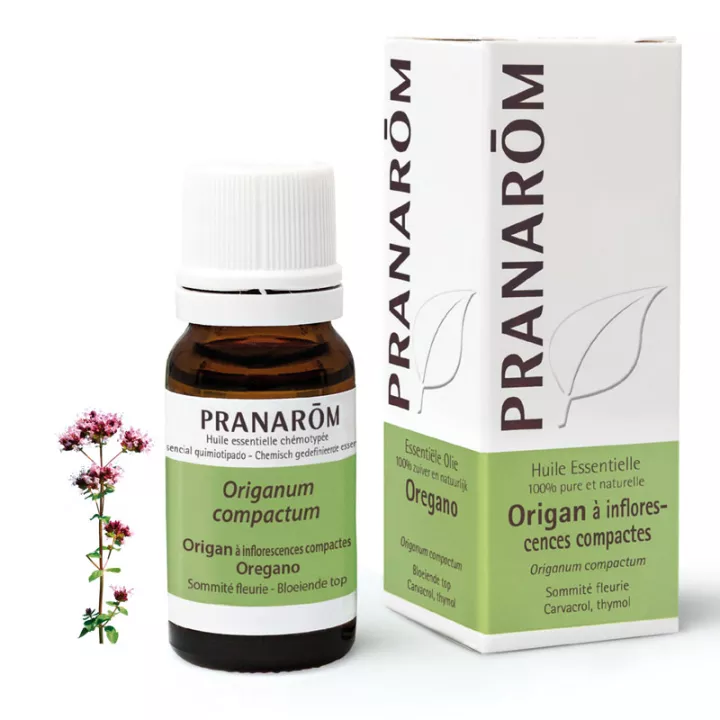 Pranarom origano essenziale 10ml di olio