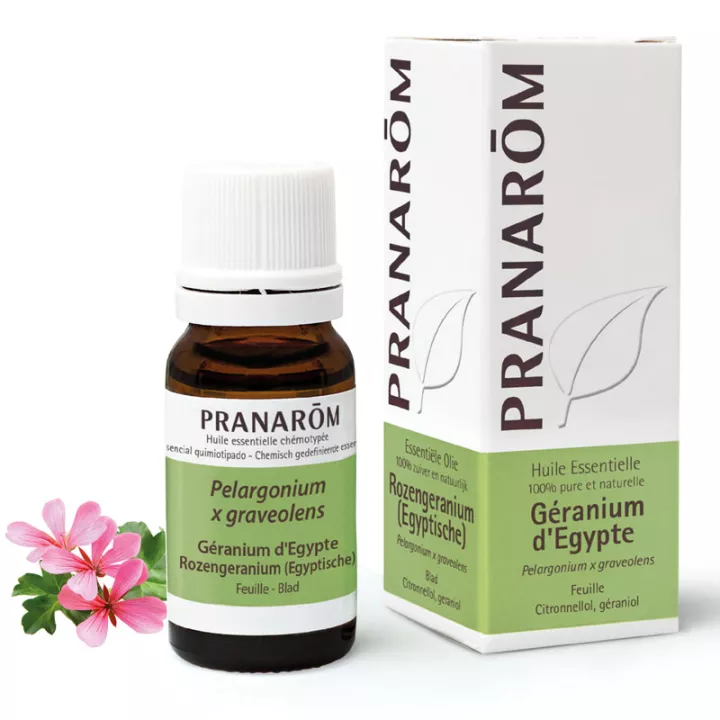 Pranarom Geranio Egitto Olio essenziale 10ml