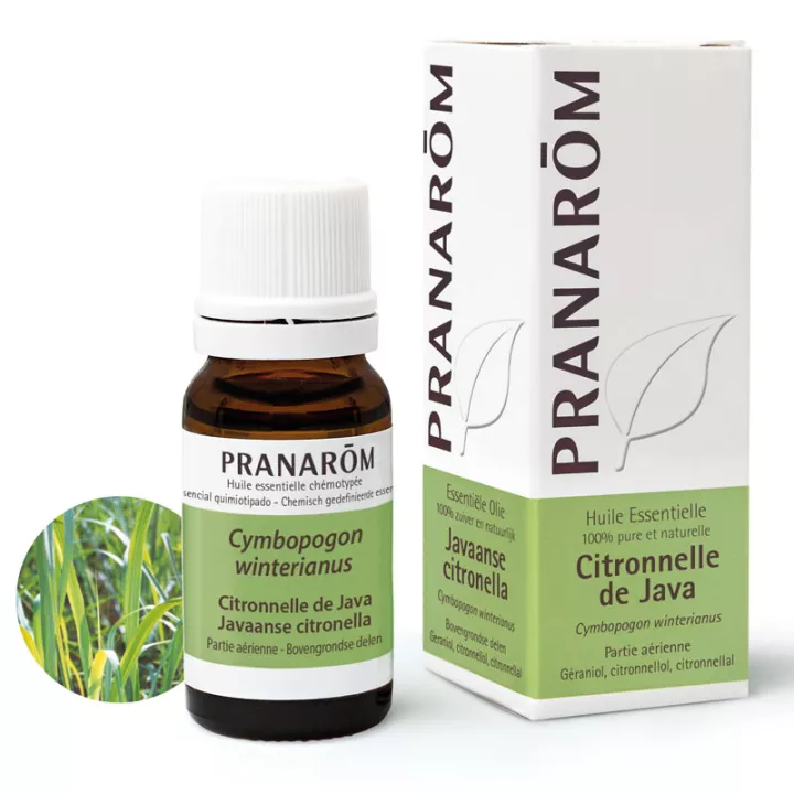 Pranarom Huile Essentielle Citronnelle Cymbopogon Winterianus 10ml