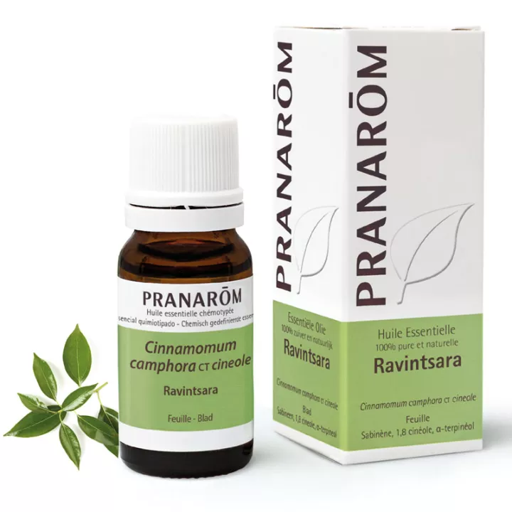 Essential Oil Ravintsara PRANAROM