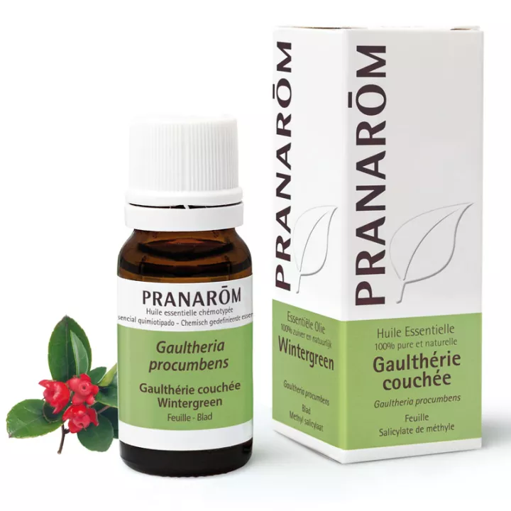 PRANAROM ESSENTIAL OIL 10ML Wintergreen LYING GAULTHERIA PROCUMBENS