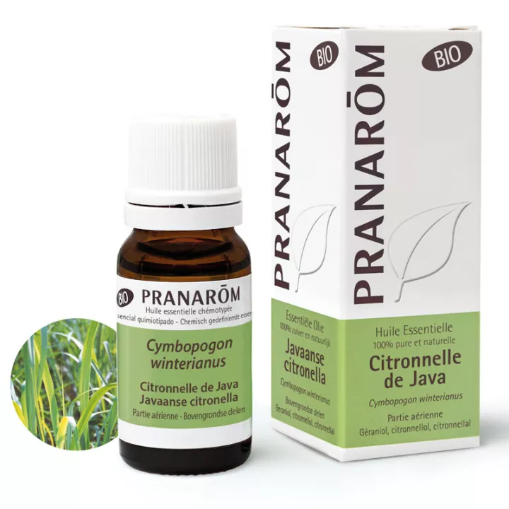 Orgánica de aceite esencial de citronela de Java 10ml Pranarom