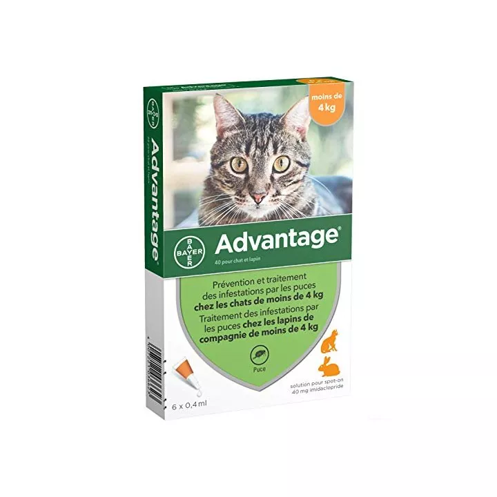 Advantage 40 pipetas anti-pulgas para gatos e coelhos