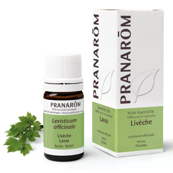 Pranarom Huile Essentielle Livèche 5 ml