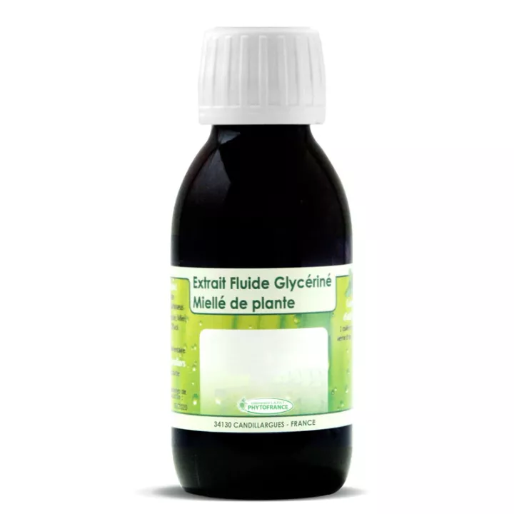 CHLORELLA - Fluid Extract Chlorella BIO glycerine PHYTOFRANCE