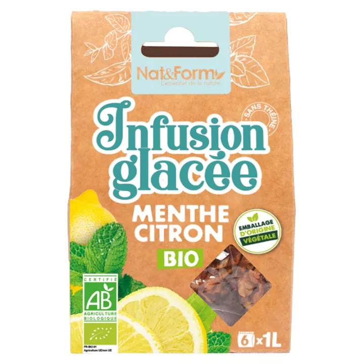 Nat & Form Tisane Glacée Bio 8 Sachets