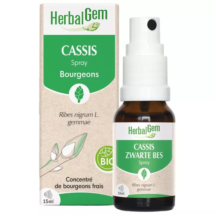 Herbalgem Cassis Spray Bourgeons Bio 15 ml