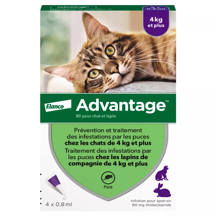 Pipetas antipulgas Advantage 80 para gatos y conejos