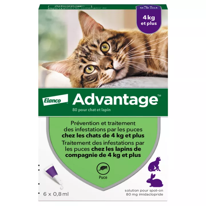 Advantage 80 pipetas de pulgas para gatos e coelhos