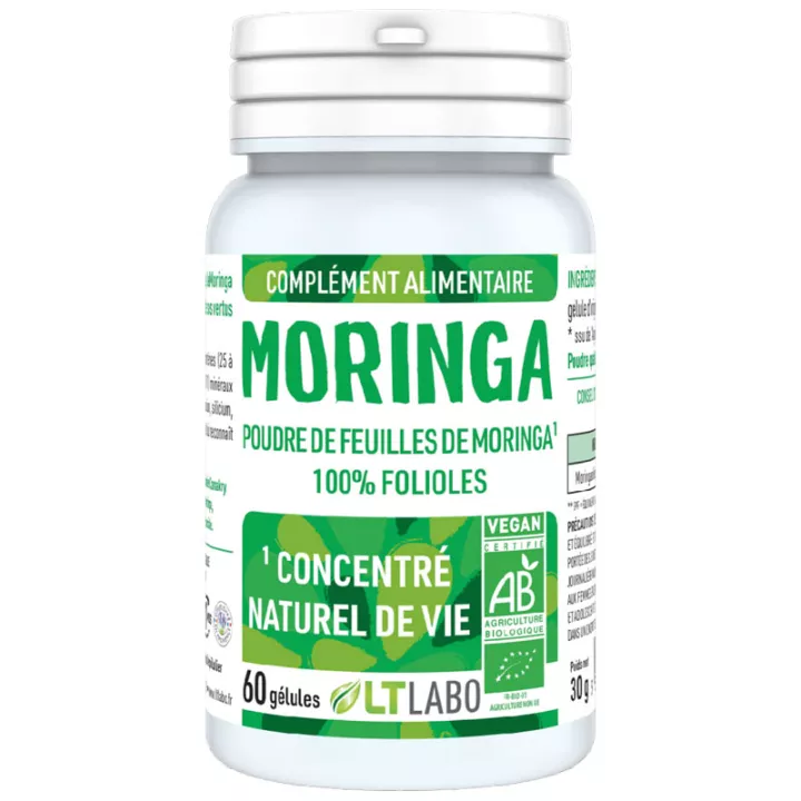 Folhetos de moringa vegana orgânica LT Labo