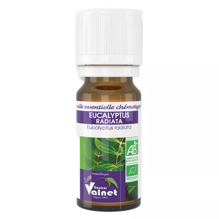 DOCTOR VALNET etherische olie Eucalyptus radiata 10ml