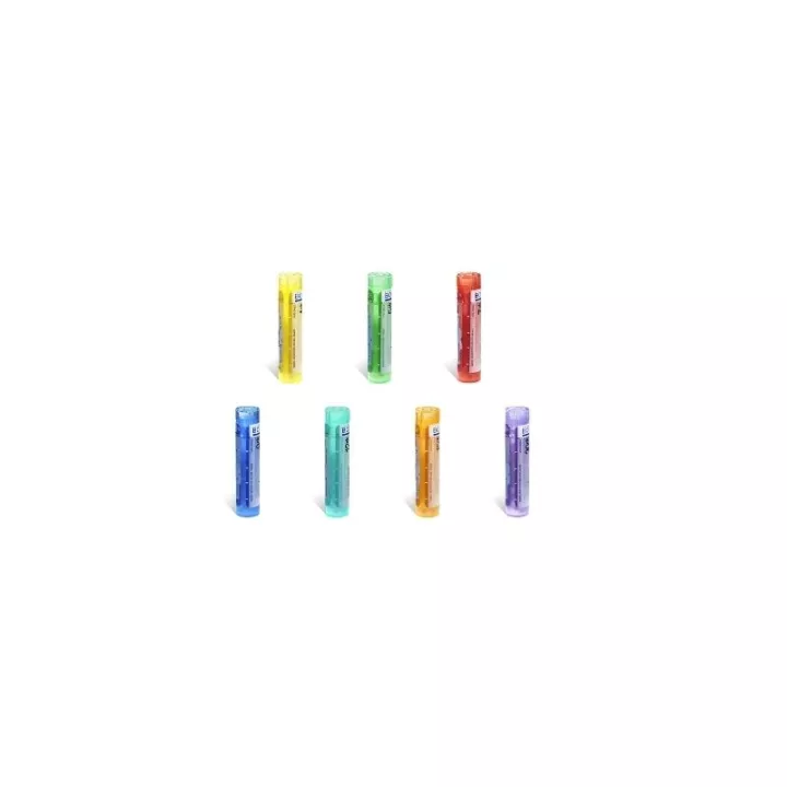 4CH 5CH 7CH 9CH 12CH 15CH 30CH Granules Tube HOMEOPATHIE BOIRON