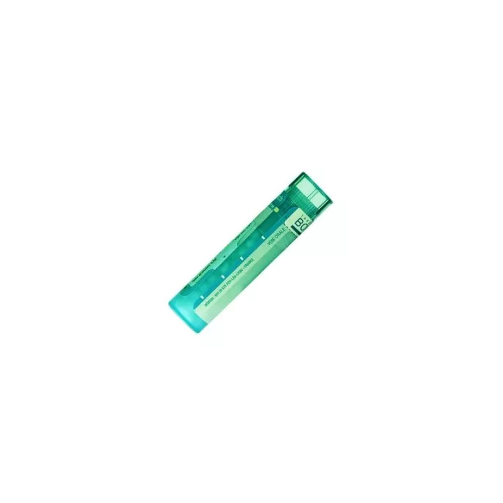 Ferrum metallicum 200K Tube pellets Homeopathy Boiron