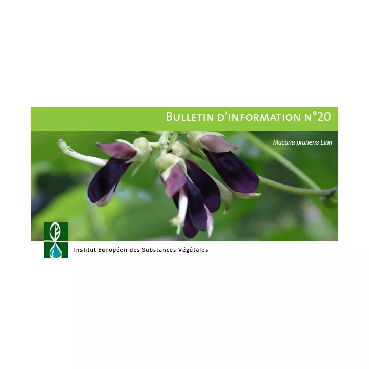 EPS Mucuna Pileje Flüssiger Extrakt aus Samen