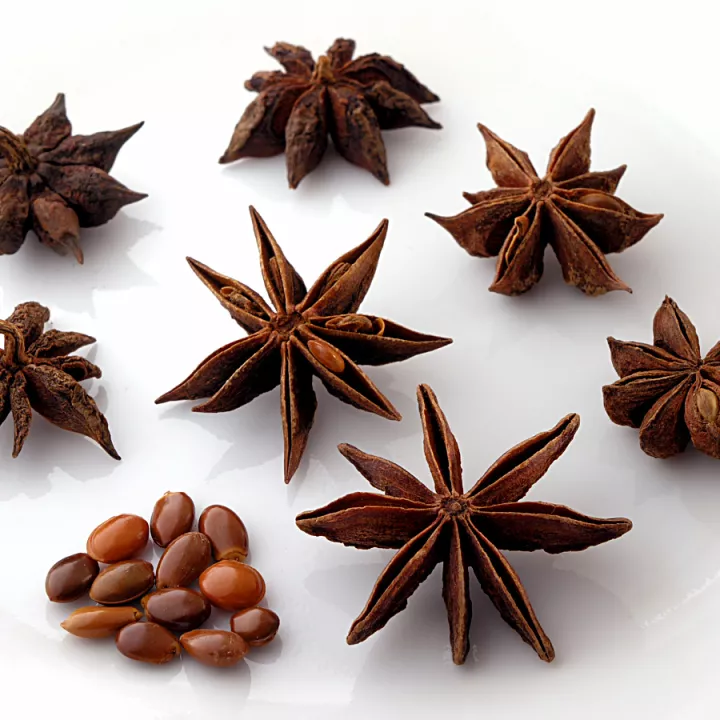 Chinese star anise (anise) Illicium verum Fruit HERBORISTERIE