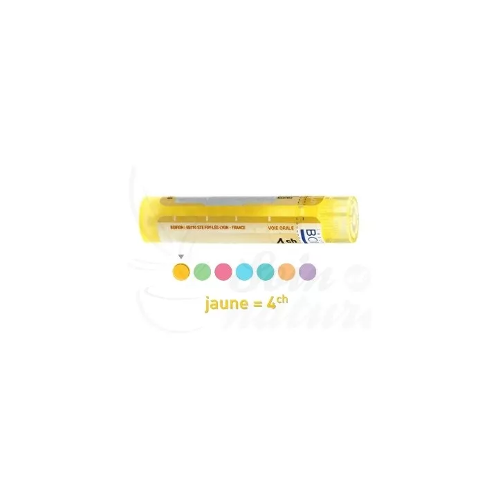 4CH Granules Tube HOMEOPATHIE BOIRON