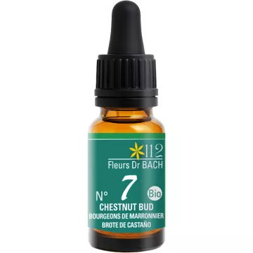 Fleurs de Bach Bourgeon de Marronnier 10ml Inebios Chestnut Bud d'Inde N°7