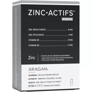 Synactifs ZincActifs 60 capsule