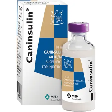 Caninsulin Insuline injectable 10ml
