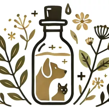 Soin-et-nature Astragale plant fluid extract