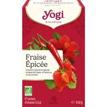 Yogi Thee Chlorella Munt Kruidenthee 17 theezakjes