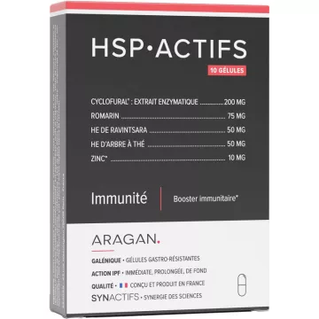 SynActifs HSP Actifs États Infectieux 10 capsules