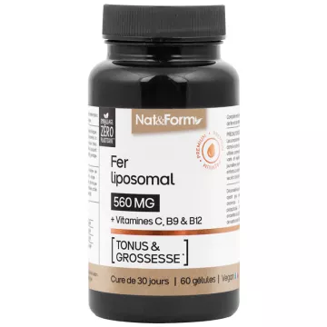 Nat & Form Nutraceutique Fer Liposomal 60 gélules