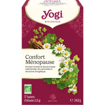 Yogi Tea Himalaya-kruidenthee 90 g*