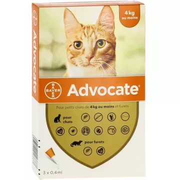 ABOGADO PEQUEÑO GATO 3 BAYER PIPETAS 0.4 ML