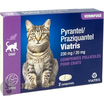 Pyrantel / Praziquantel Viatris Vermifuge Cat 2 tablets