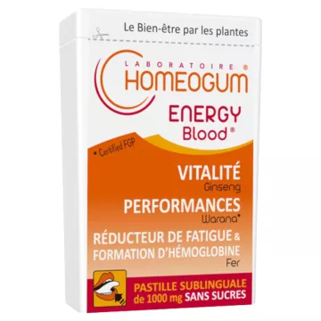 Homeogum Energia Sangue Pastilha Sublingual 40g