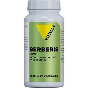 Vitall+ Berberis 500 mg 60 cápsulas vegetais