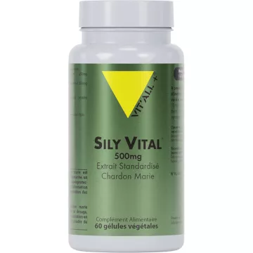 Vitall+ Sily Vital Milk Thistle Silymarin Standardized Extract 60 vegetarian capsules