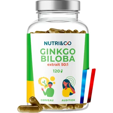 Nutri&Co Ginkgo Biloba 120 capsule