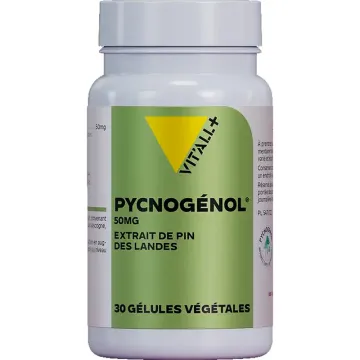 Vitall+ Pycnogénol 50 mg 30 cápsulas vegetais