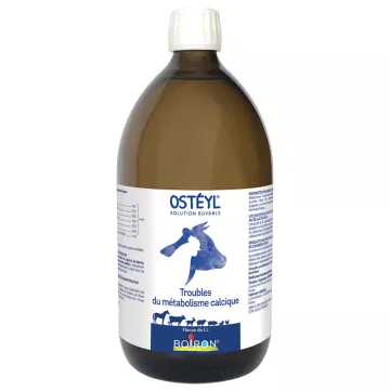OSTEYL GA SOLUÇÃO ORAL garrafa de 1 litro