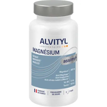 Alvityl Assimyl + Magnésium 90 Comprimés