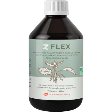 Z-Flex Articulation BIO 500ml