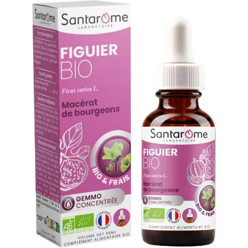 Santarome Fig Bud orgânico 30ml