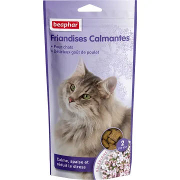 Beaphar Valeriana per gatti 35g