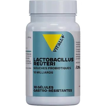 Vitall+ Lactobacillus Reuteri 30 cápsulas vegetales