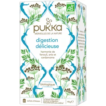 Pukka Bio Verdauung Köstlich Kräutertee 20 Beutel zum Aufgießen