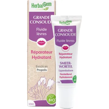 Herbalgem Fluido Labial Reparador e Hidratante com Consolda Maior 10 ml