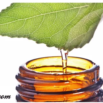 Nature Lehning Pilosella Hieracium-extract 60 ml