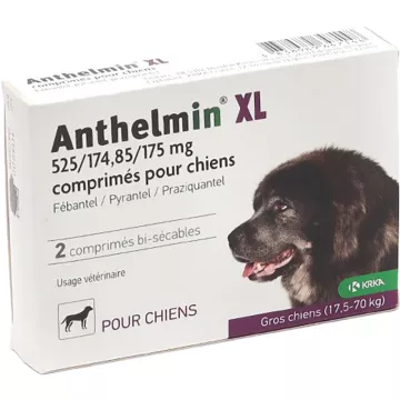 KRKA Anthelmin Versatile Dewormer for Dogs 2 tablets